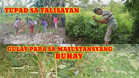 kinantot sa bukid|Pumunta sa .